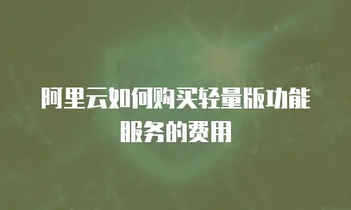 阿里云如何购买轻量版功能服务的费用