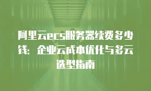 阿里云ecs服务器续费多少钱：企业云成本优化与多云选型指南