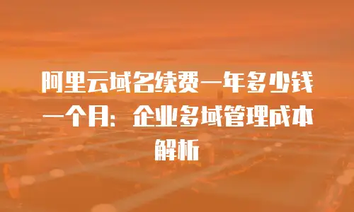 阿里云域名续费一年多少钱一个月：企业多域管理成本解析