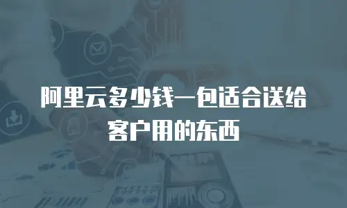 阿里云多少钱一包适合送给客户用的东西