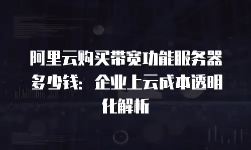 阿里云购买带宽功能服务器多少钱：企业上云成本透明化解析