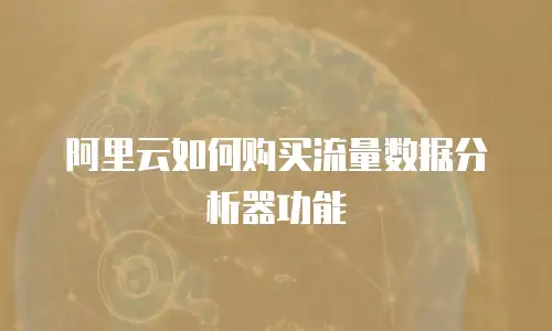 阿里云如何购买流量数据分析器功能