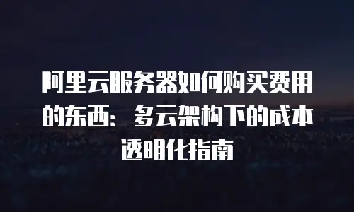 阿里云服务器如何购买费用的东西：多云架构下的成本透明化指南