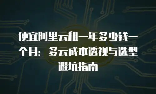 便宜阿里云租一年多少钱一个月：多云成本透视与选型避坑指南