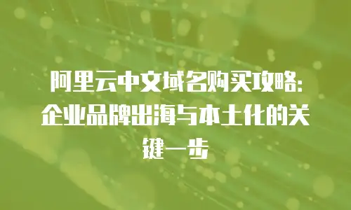 阿里云中文域名购买攻略：企业品牌出海与本土化的关键一步