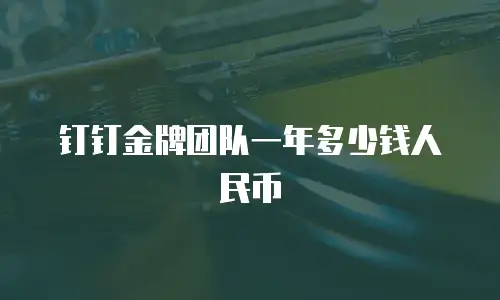 钉钉金牌团队一年多少钱人民币