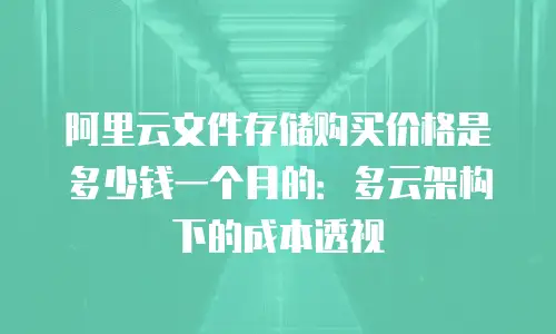 阿里云文件存储购买价格是多少钱一个月的：多云架构下的成本透视