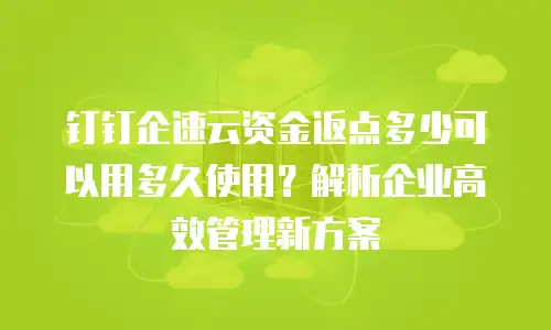 钉钉企速云资金返点多少可以用多久使用？解析企业高效管理新方案