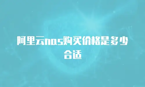 阿里云nas购买价格是多少合适
