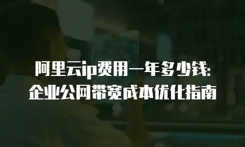 阿里云ip费用一年多少钱：企业公网带宽成本优化指南