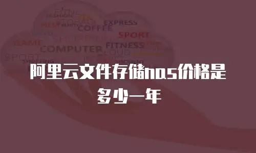 阿里云文件存储nas价格是多少一年