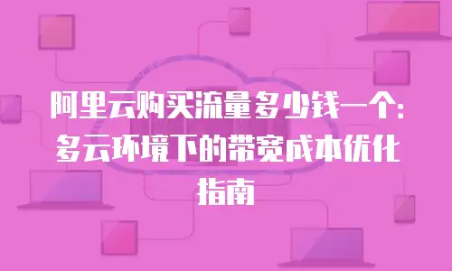 阿里云购买流量多少钱一个：多云环境下的带宽成本优化指南