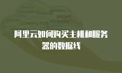 阿里云如何购买主机和服务器的数据线