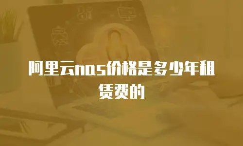 阿里云nas价格是多少年租赁费的