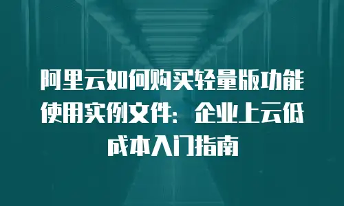 阿里云如何购买轻量版功能使用实例文件：企业上云低成本入门指南