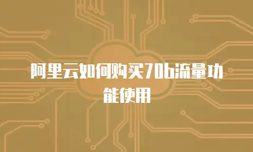 阿里云如何购买70b流量功能使用
