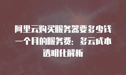 阿里云购买服务器要多少钱一个月的服务费：多云成本透明化解析