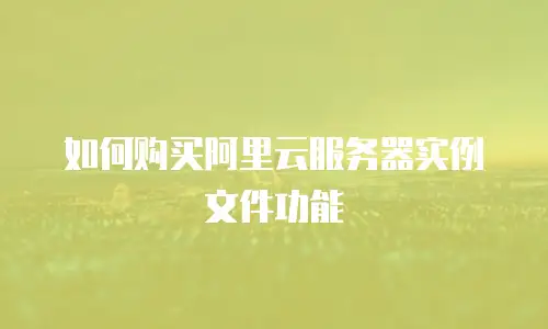 如何购买阿里云服务器实例文件功能