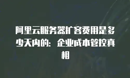 阿里云服务器扩容费用是多少天内的：企业成本管控真相
