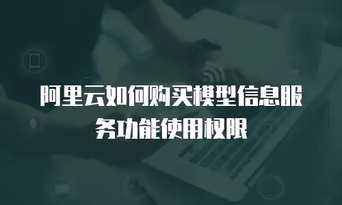 阿里云如何购买模型信息服务功能使用权限