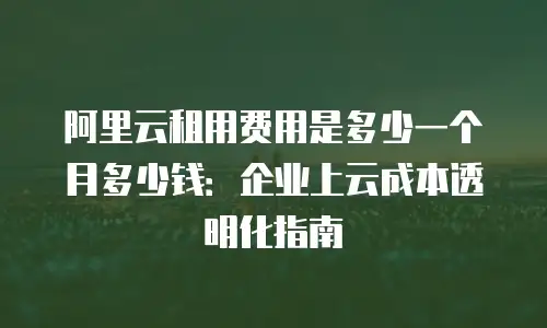 阿里云租用费用是多少一个月多少钱：企业上云成本透明化指南