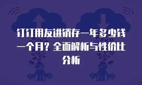 钉钉用友进销存一年多少钱一个月？全面解析与性价比分析