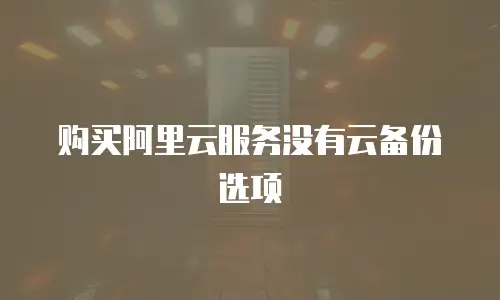 购买阿里云服务没有云备份选项