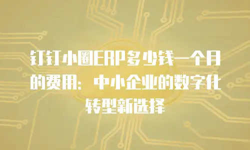 钉钉小圈ERP多少钱一个月的费用：中小企业的数字化转型新选择