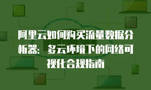 阿里云如何购买流量数据分析器：多云环境下的网络可视化合规指南