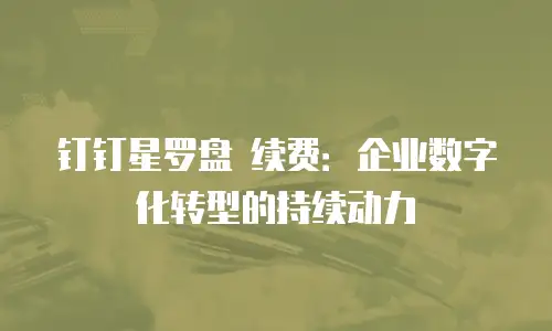 钉钉星罗盘 续费：企业数字化转型的持续动力