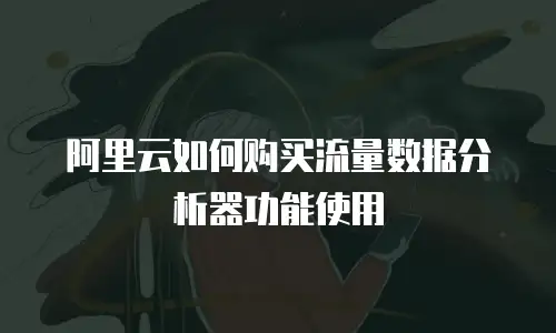 阿里云如何购买流量数据分析器功能使用