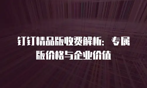 钉钉精品版收费解析：专属版价格与企业价值