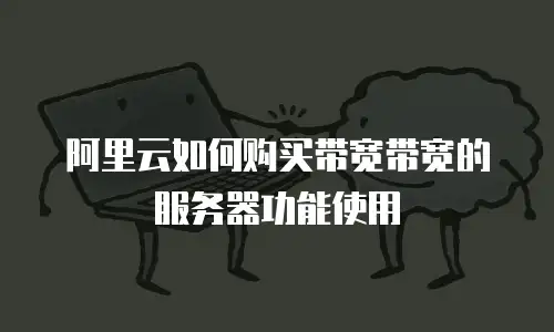 阿里云如何购买带宽带宽的服务器功能使用
