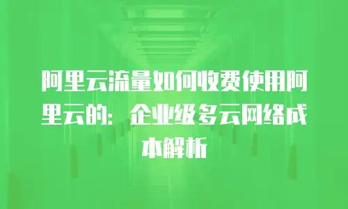 阿里云流量如何收费使用阿里云的：企业级多云网络成本解析