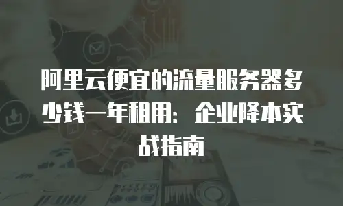 阿里云便宜的流量服务器多少钱一年租用：企业降本实战指南