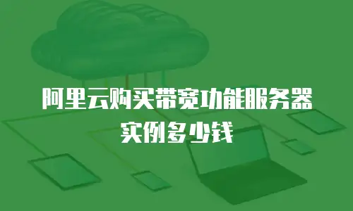 阿里云购买带宽功能服务器实例多少钱
