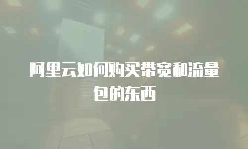 阿里云如何购买带宽和流量包的东西