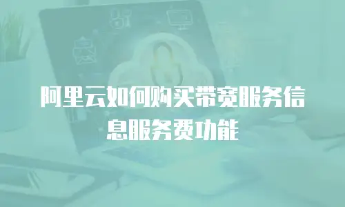阿里云如何购买带宽服务信息服务费功能