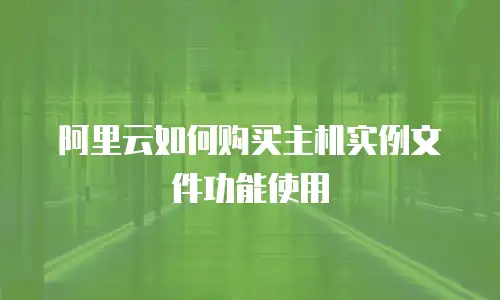 阿里云如何购买主机实例文件功能使用