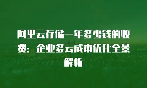 阿里云存储一年多少钱的收费：企业多云成本优化全景解析
