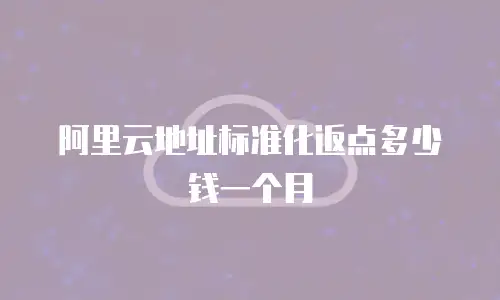 阿里云地址标准化返点多少钱一个月