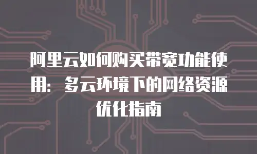 阿里云如何购买带宽功能使用：多云环境下的网络资源优化指南