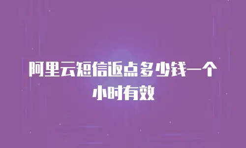 阿里云短信返点多少钱一个小时有效