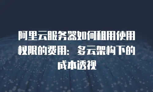 阿里云服务器如何租用使用权限的费用：多云架构下的成本透视