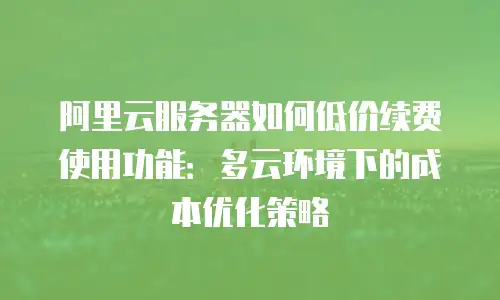 阿里云服务器如何低价续费使用功能：多云环境下的成本优化策略