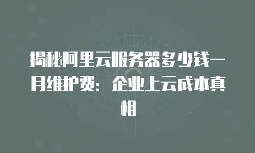 揭秘阿里云服务器多少钱一月维护费：企业上云成本真相