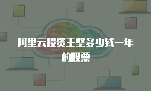阿里云投资王坚多少钱一年的股票