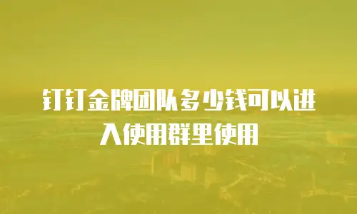 钉钉金牌团队多少钱可以进入使用群里使用