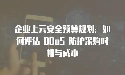 企业上云安全预算规划：如何评估 DDoS 防护采购时机与成本