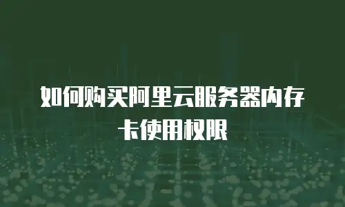 如何购买阿里云服务器内存卡使用权限